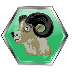 Image showing Mountain ram on button