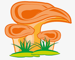 Image showing Fungus mushroom in herb