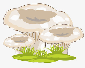 Image showing Mushrooms in herb