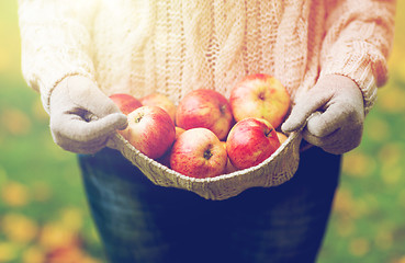 Image showing close up of woman with apples in autumn