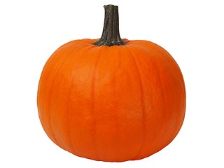 Image showing Isolated pumpkin