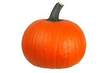 Image showing Pumpkin on white