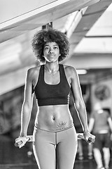 Image showing black woman doing parallel bars Exercise