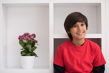 Image showing young boy posing on a shelf