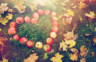 Image showing apples in heart shape and autumn leaves on grass