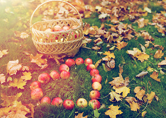 Image showing apples in heart shape and autumn leaves on grass