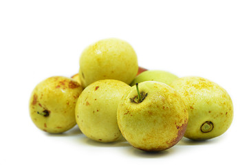 Image showing Ziziphus jujube Chinese date