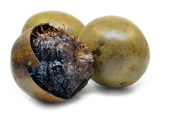 Image showing Lo Han Guo, Monk or Buddha fruit