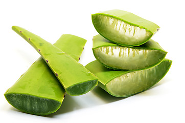 Image showing Aloe vera fresh leaf isolated