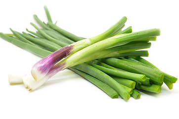 Image showing Fresh spring onions