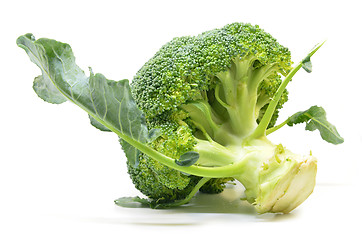 Image showing Fresh broccoli isolated on white background