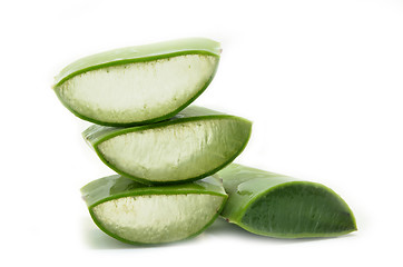 Image showing Aloe vera fresh leaf isolated