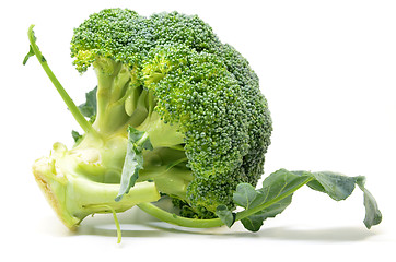 Image showing Fresh broccoli isolated on white background