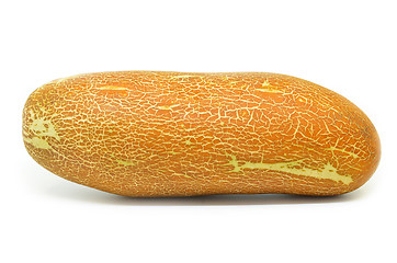 Image showing Chinese yellow cucumber