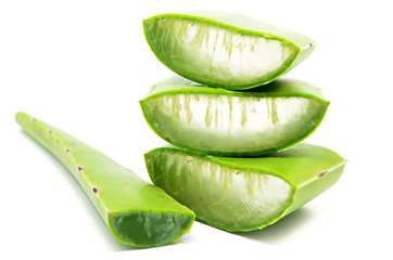 Image showing Aloe vera fresh leaf isolated