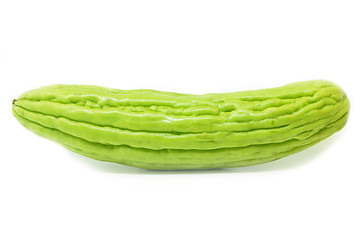 Image showing Bitter gourd isolated 