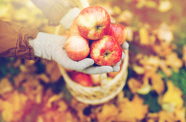 Image showing woman with basket of apples at autumn garden