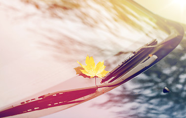 Image showing close up of car wipers with autumn maple leaf