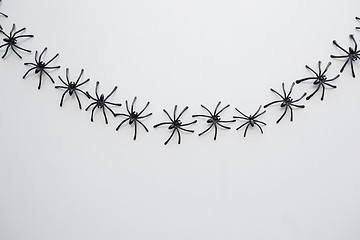 Image showing black toy spiders chain over white background