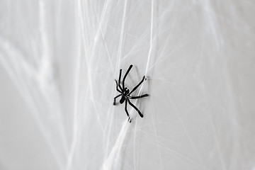 Image showing halloween decoration of black toy spider on cobweb
