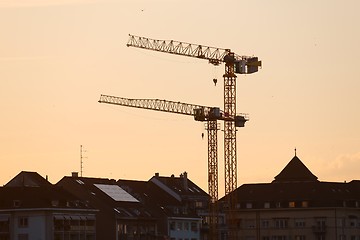 Image showing Tall Construction Cranes