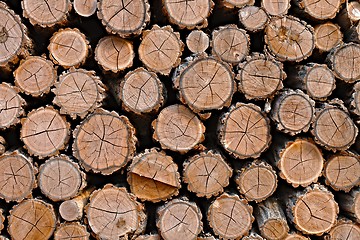 Image showing Log wood pile