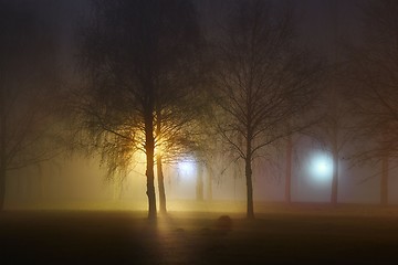 Image showing Foggy Mysterious Night