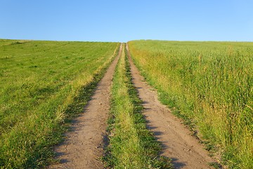 Image showing Dirtroad through a field
