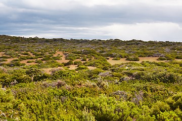 Image showing Landscape in Tasmania