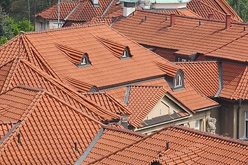 Image showing Tiled Building Roofs