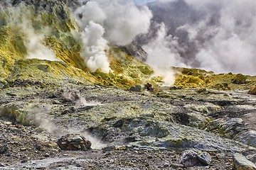 Image showing White Island Volcano