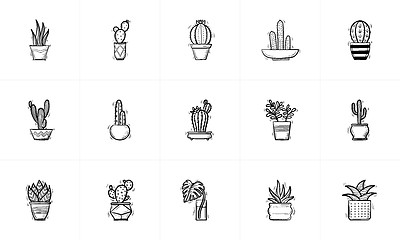 Image showing House potted cactus and succulent sketch icon set.