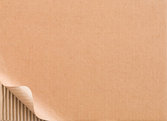 Image showing Corrugated cardboard with curled corner