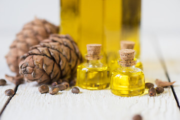 Image showing Oil of cedar nuts