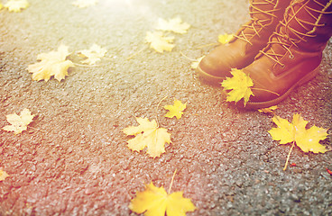 Image showing female feet in boots and autumn leaves