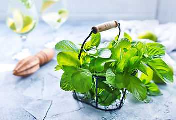 Image showing ingredients for mojito