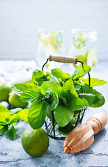 Image showing ingredients for mojito