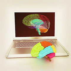 Image showing creative three-dimensional model of real human brain and scan on