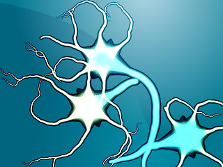 Image showing Nerve cells illustration