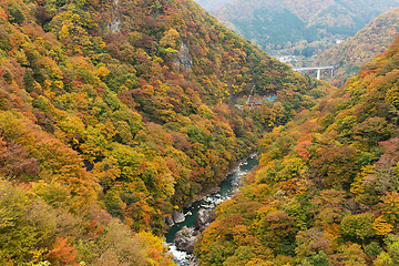 Image showing Kinugawa in autumn