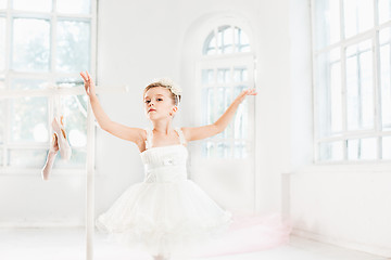 Image showing Little ballerina girl in a tutu. Adorable child dancing classical ballet in a white studio.