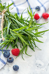 Image showing Bunch of fresh tarragon and berries.
