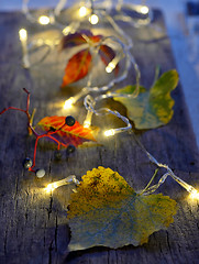 Image showing Autumn leaves on wooden board 