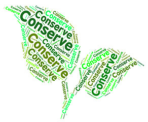 Image showing Conserve Word Means Protecting Protect And Sustainable