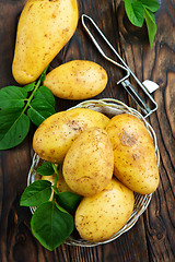 Image showing raw potato