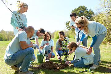 Image showing group of volunteers planting tree in park