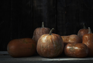 Image showing Stack of pumpkins after harvesting