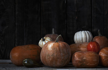 Image showing Stack of pumpkins after harvesting