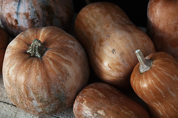 Image showing Group of pumpkins on a wooden table