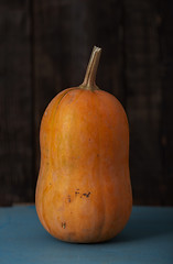 Image showing Pumpkin on a table